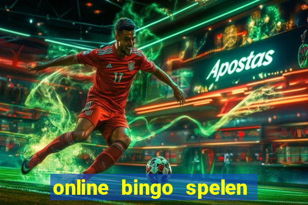 online bingo spelen met geld