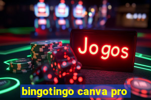 bingotingo canva pro