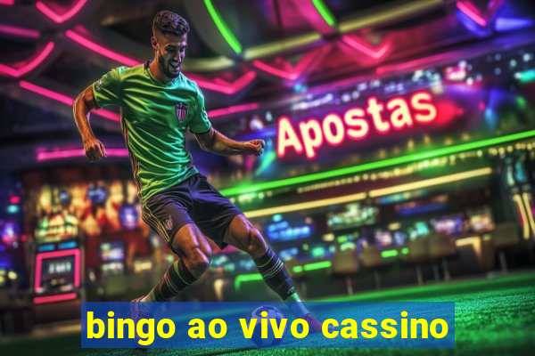 bingo ao vivo cassino