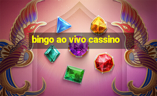 bingo ao vivo cassino