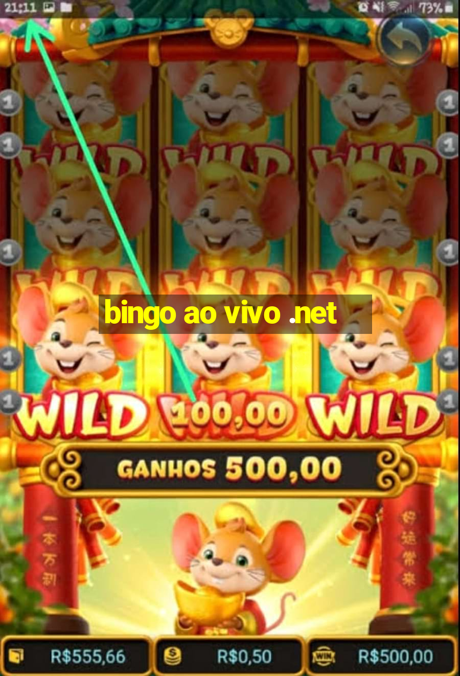 bingo ao vivo .net