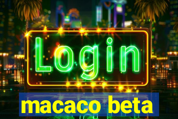 macaco beta