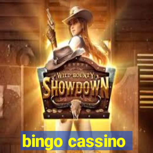 bingo cassino