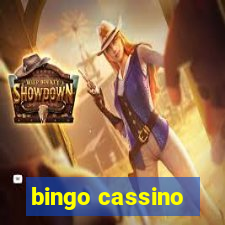 bingo cassino