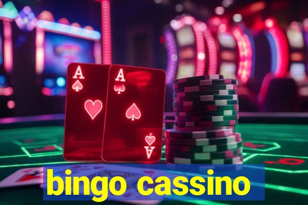 bingo cassino