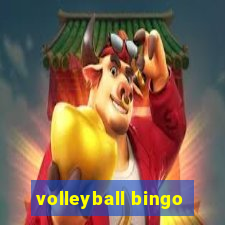 volleyball bingo