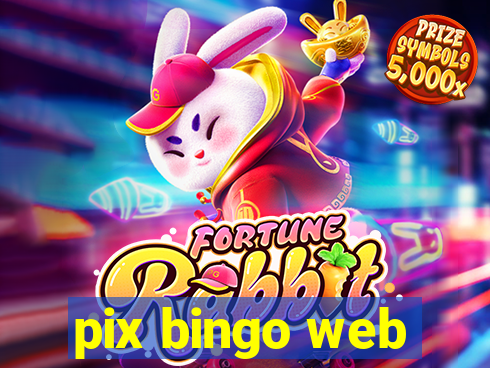 pix bingo web