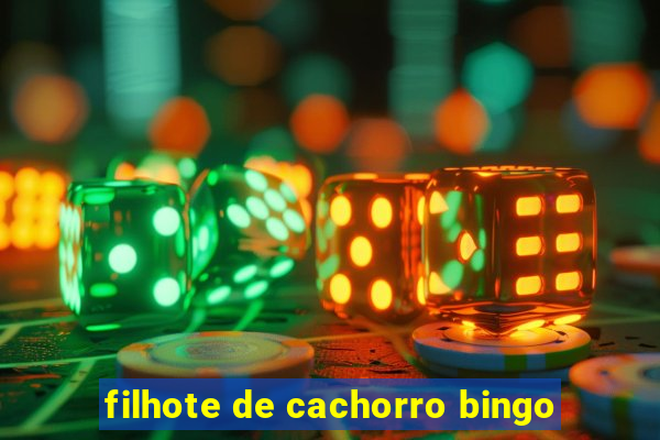 filhote de cachorro bingo