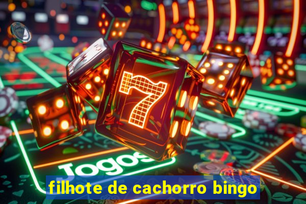 filhote de cachorro bingo