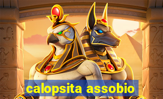 calopsita assobio